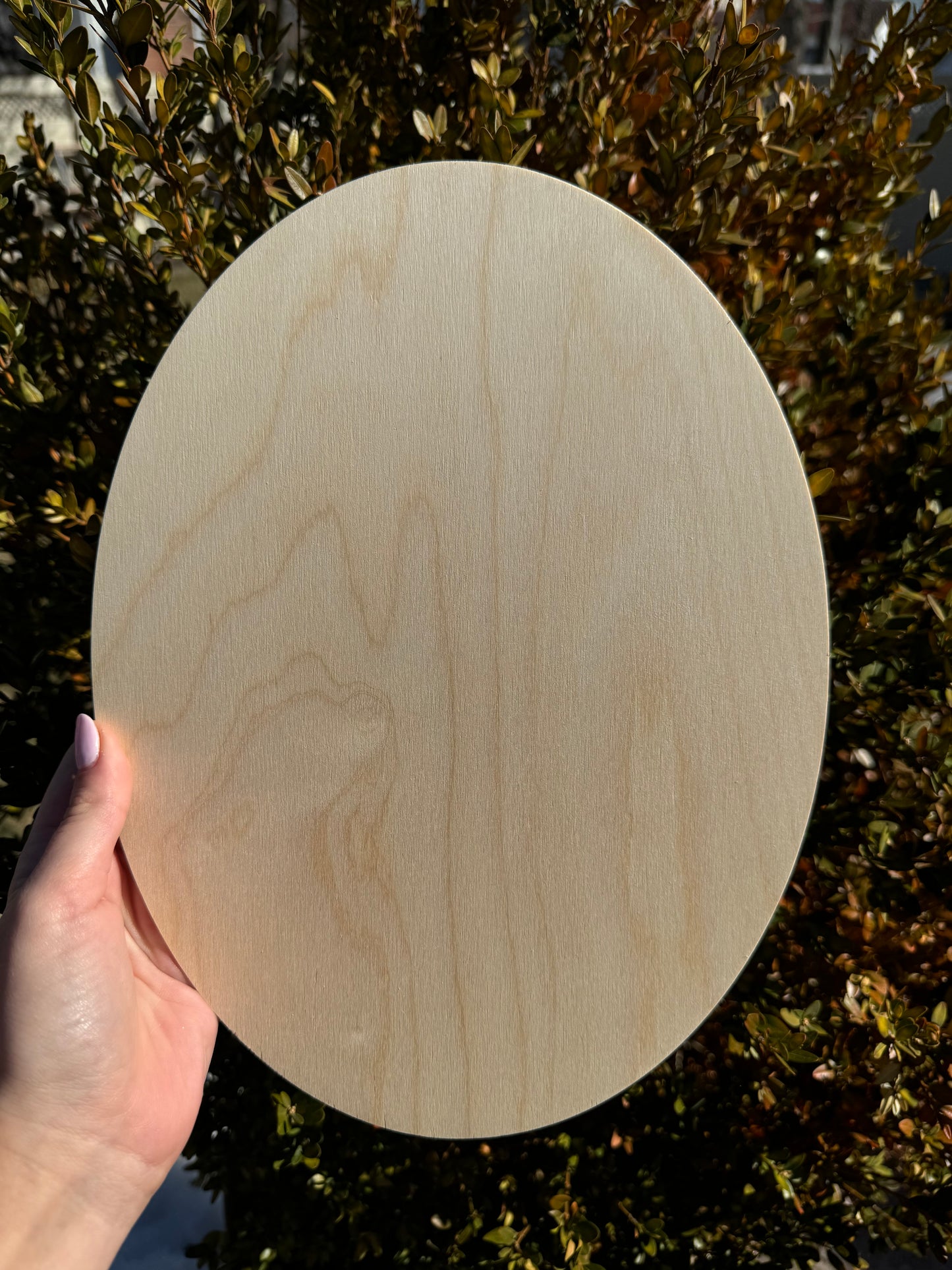 Pawtrait on Oval Wooden Panel