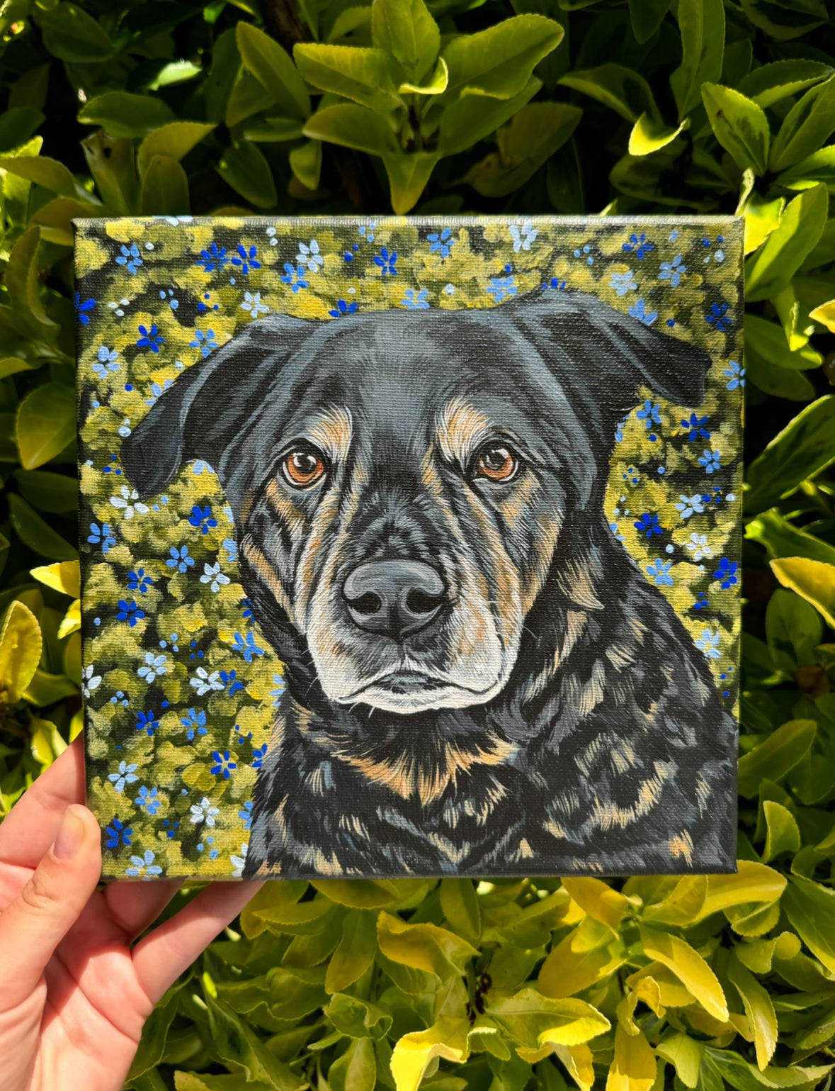 Pawtrait on Art Canvas