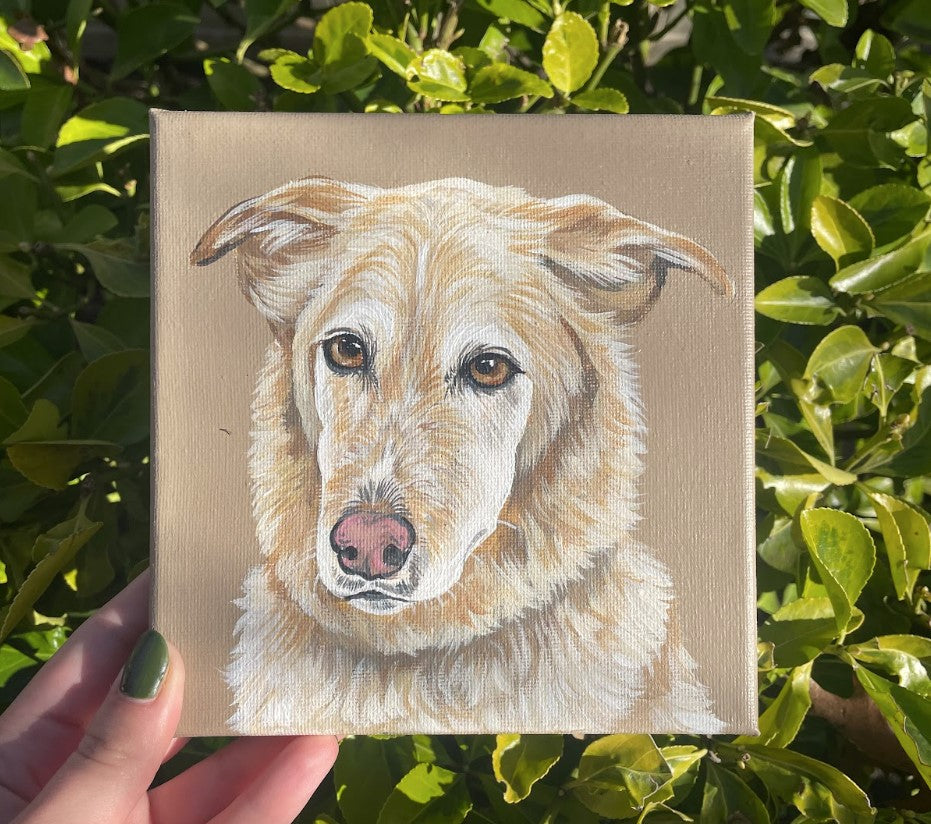 Pawtrait on Art Canvas