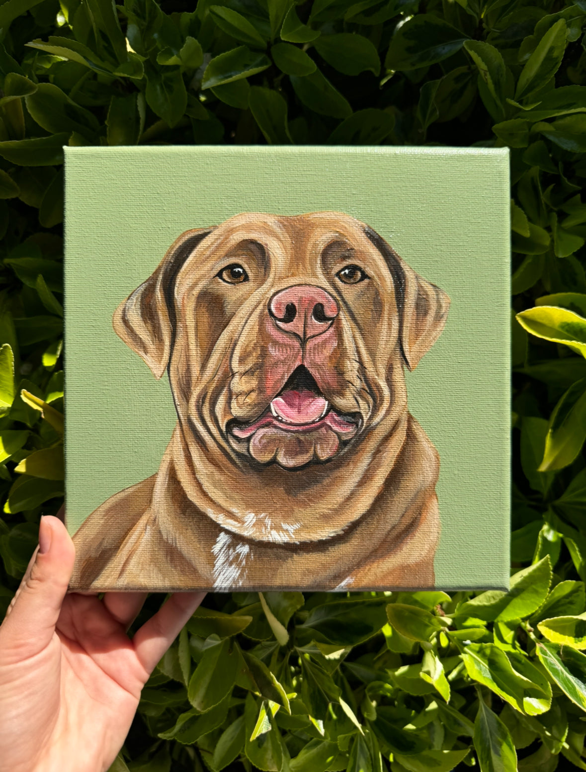 Pawtrait on Art Canvas