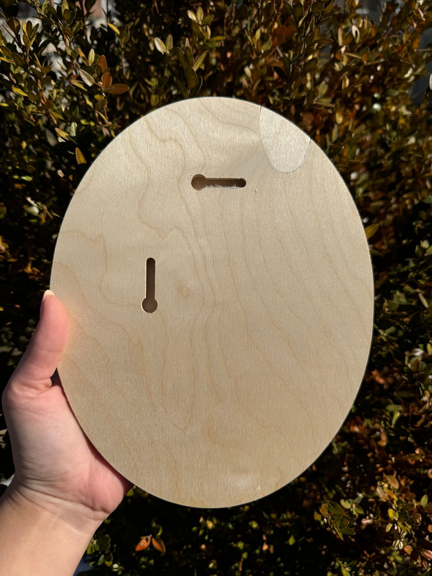 Pawtrait on Oval Wooden Panel with Pre-cut Border