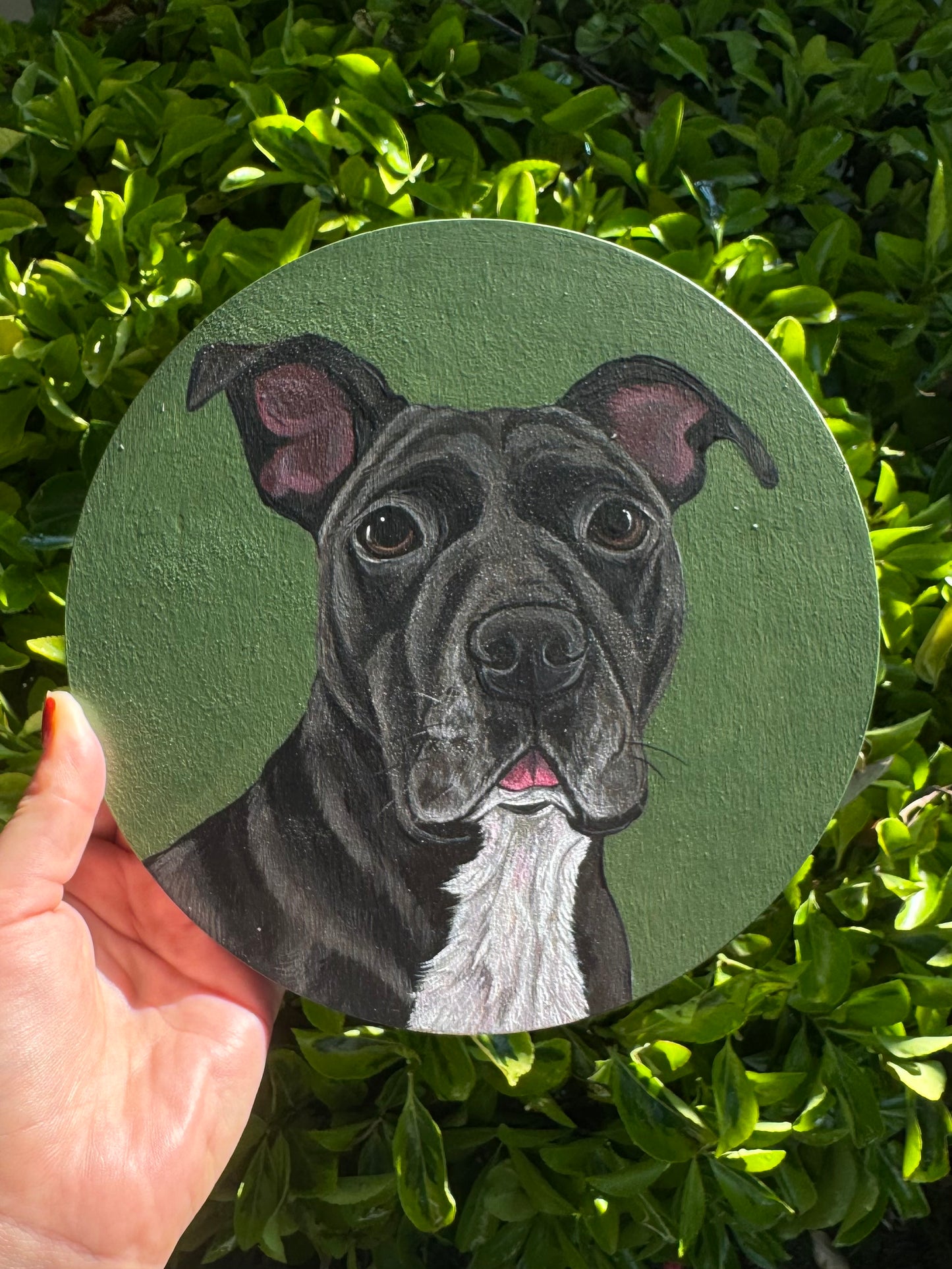 Pawtrait on Birch Wood Panel