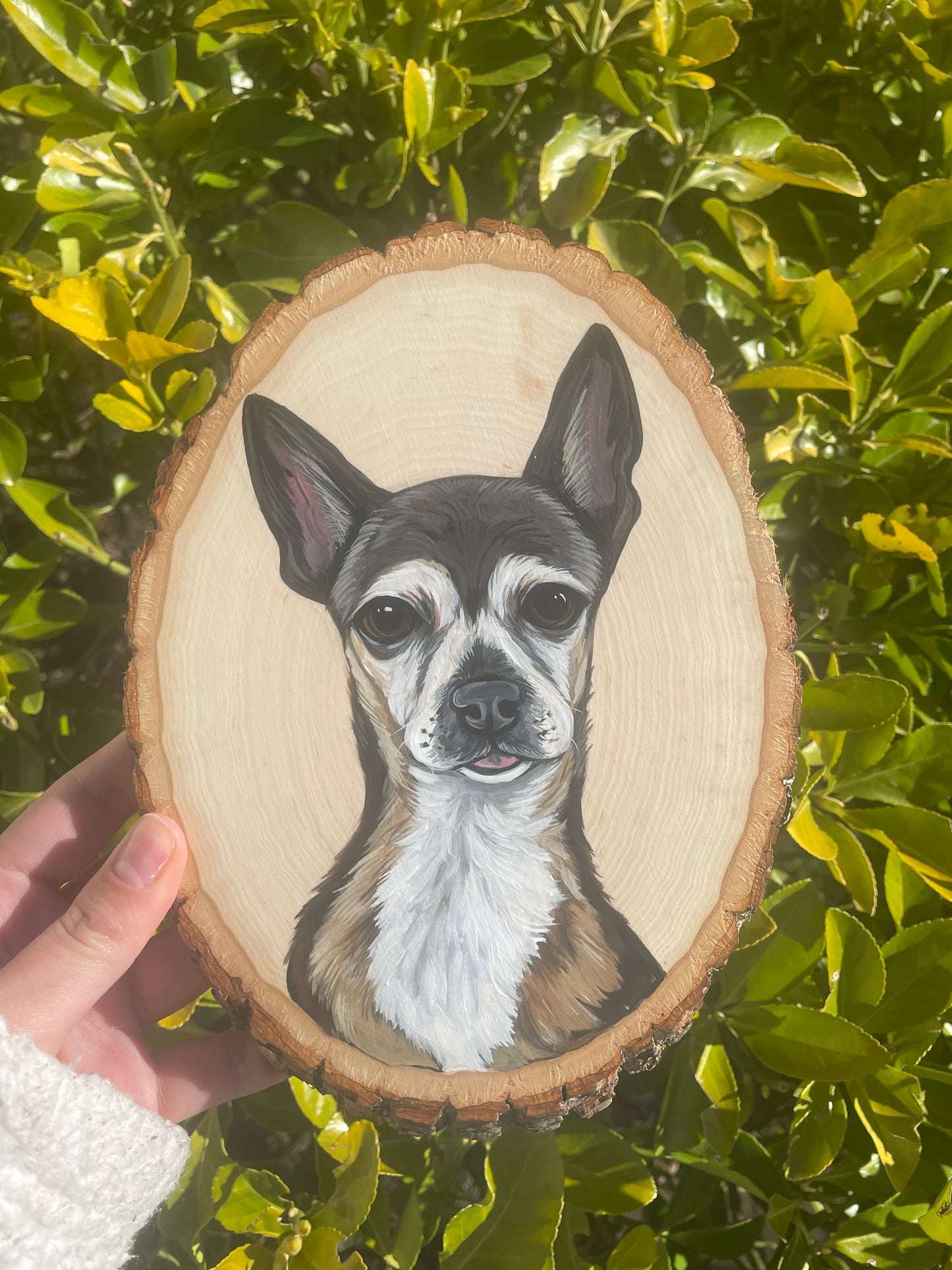 Pawtrait on Oval Wooden Slab