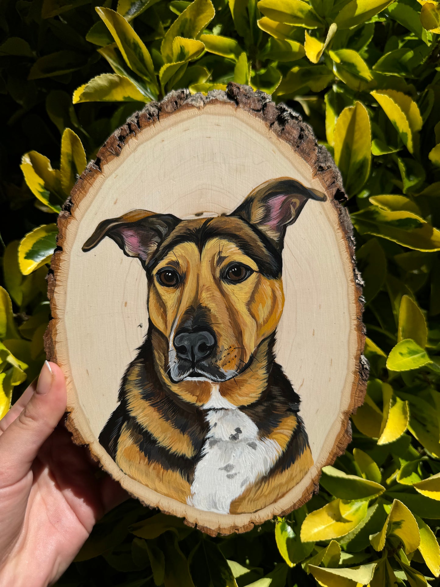 Pawtrait on Oval Wooden Slab