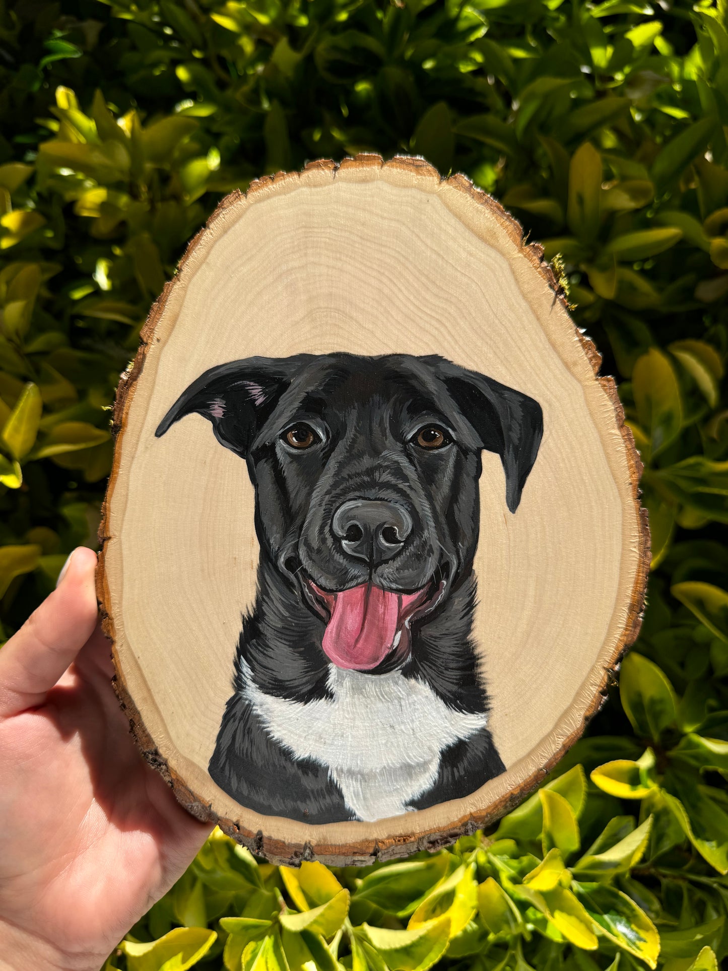 Pawtrait on Oval Wooden Slab