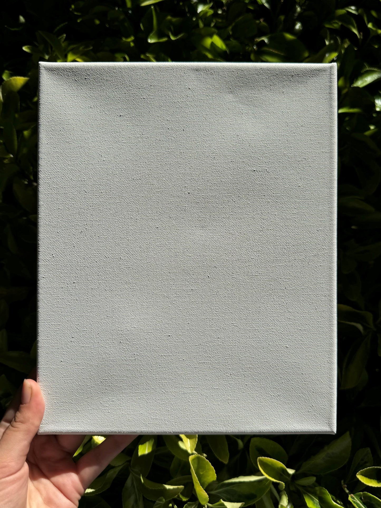 Pawtrait on Art Canvas