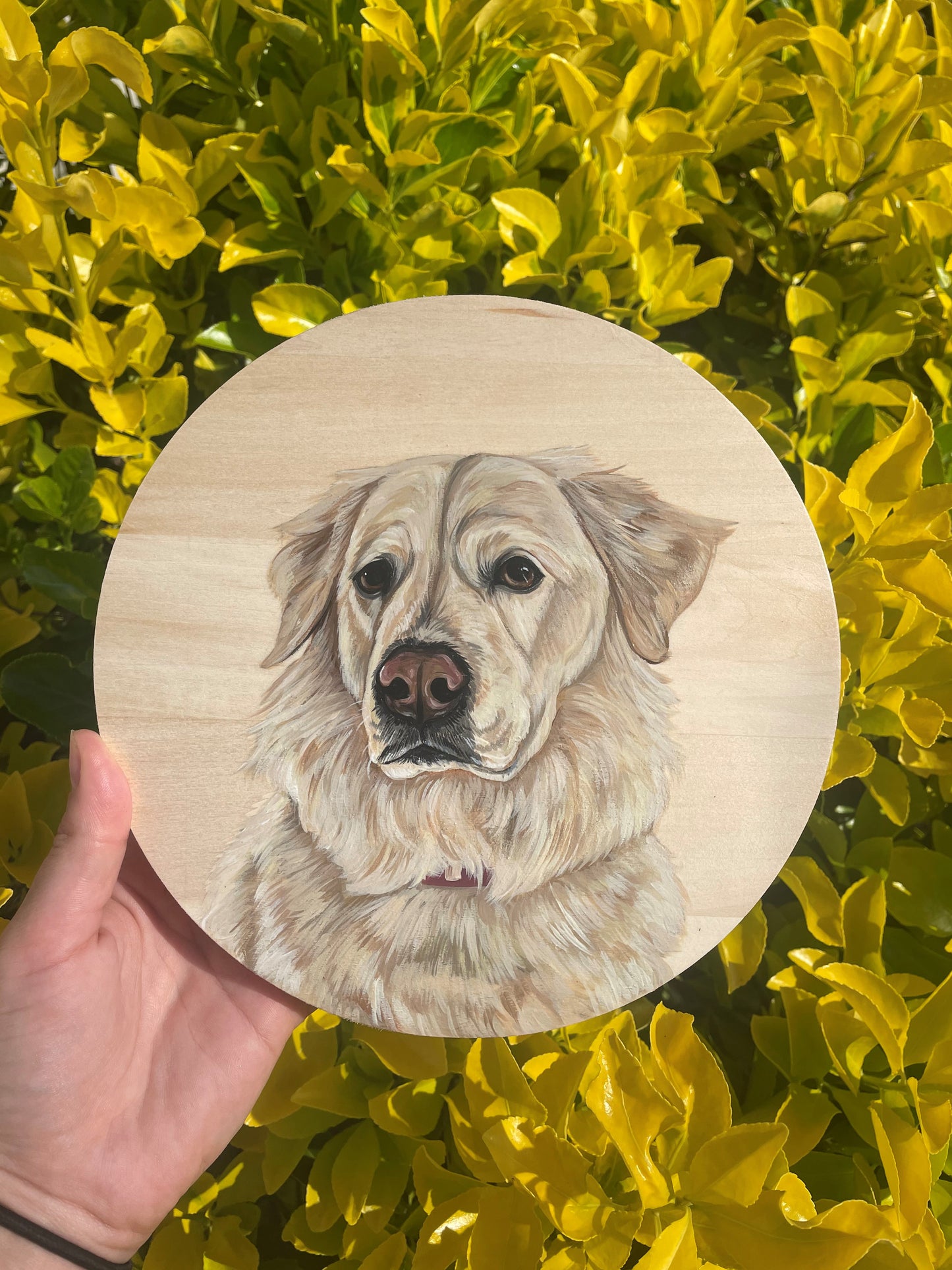 Pawtrait on Birch Wood Panel