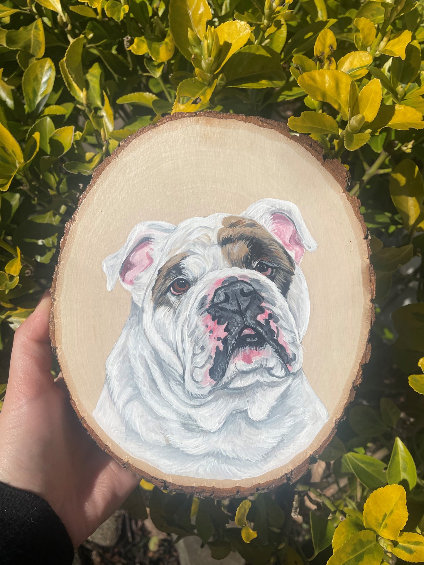 Pawtrait on Oval Wooden Slab